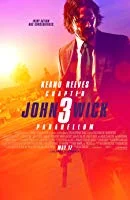 John Wick 3 - Parabellum (2019) BDRip Hindi Dubbed